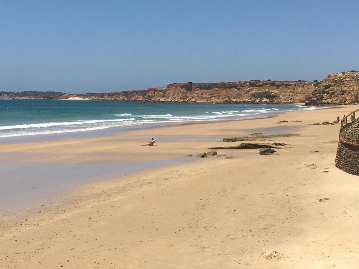 Villa Anyway Conil Un Lujo Frente Al Mar Конил-де-ла-Фронтера Екстериор снимка