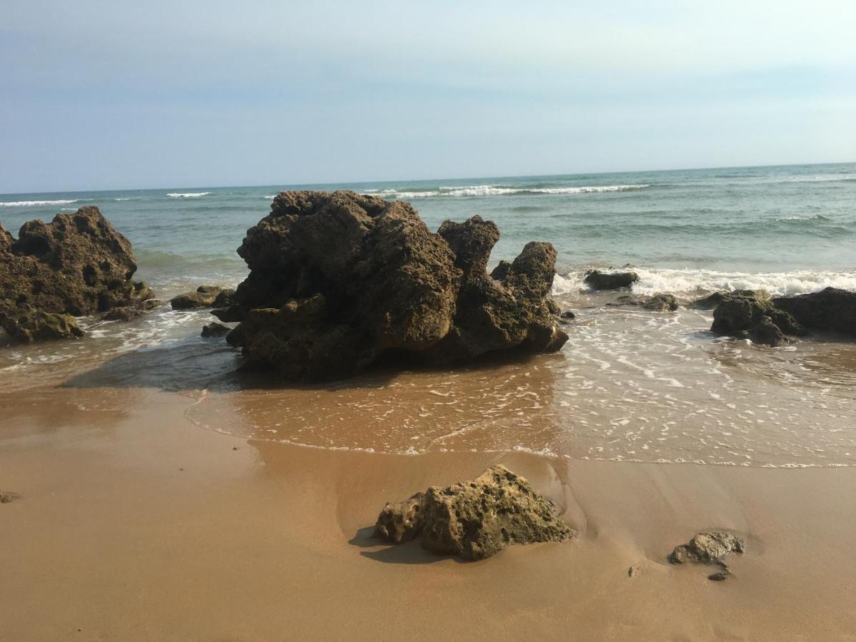 Villa Anyway Conil Un Lujo Frente Al Mar Конил-де-ла-Фронтера Екстериор снимка